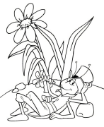 Maya l'abeille Coloriage En Ligne